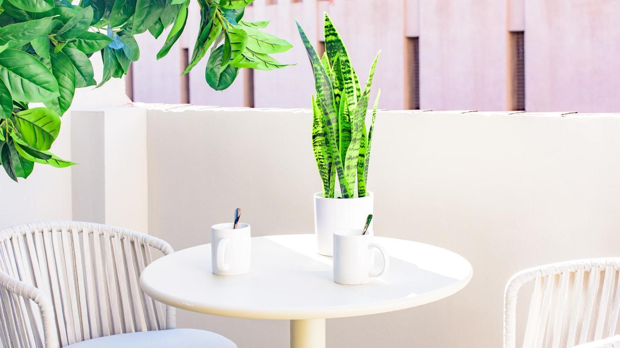 Myflats Premier Suites Alicante Exteriör bild